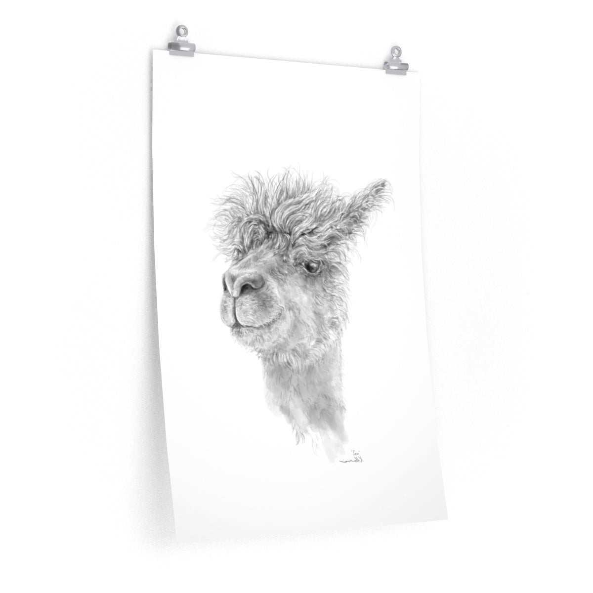 COCO Llama- Art Paper Print