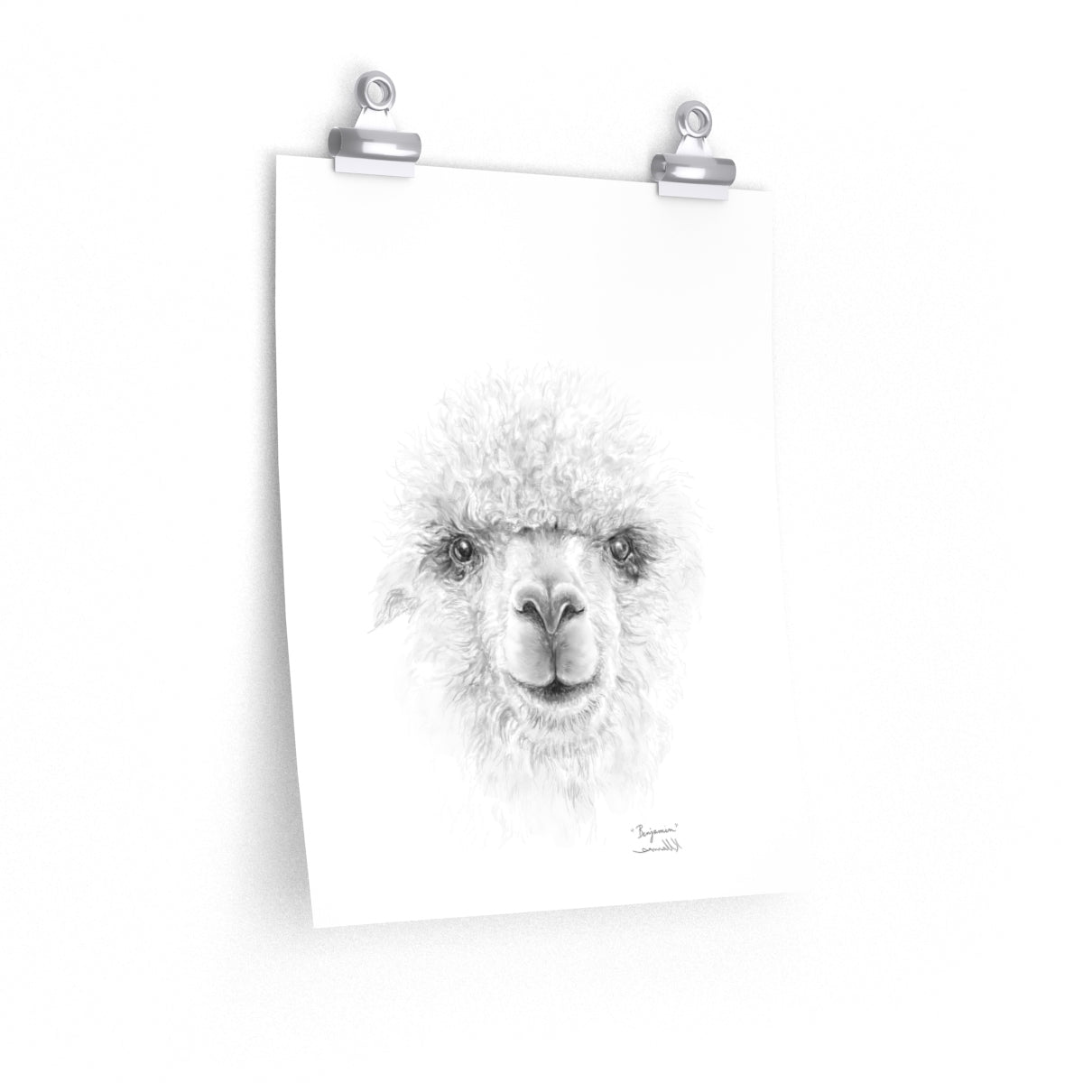 BENJAMIN Llama- Art Paper Print