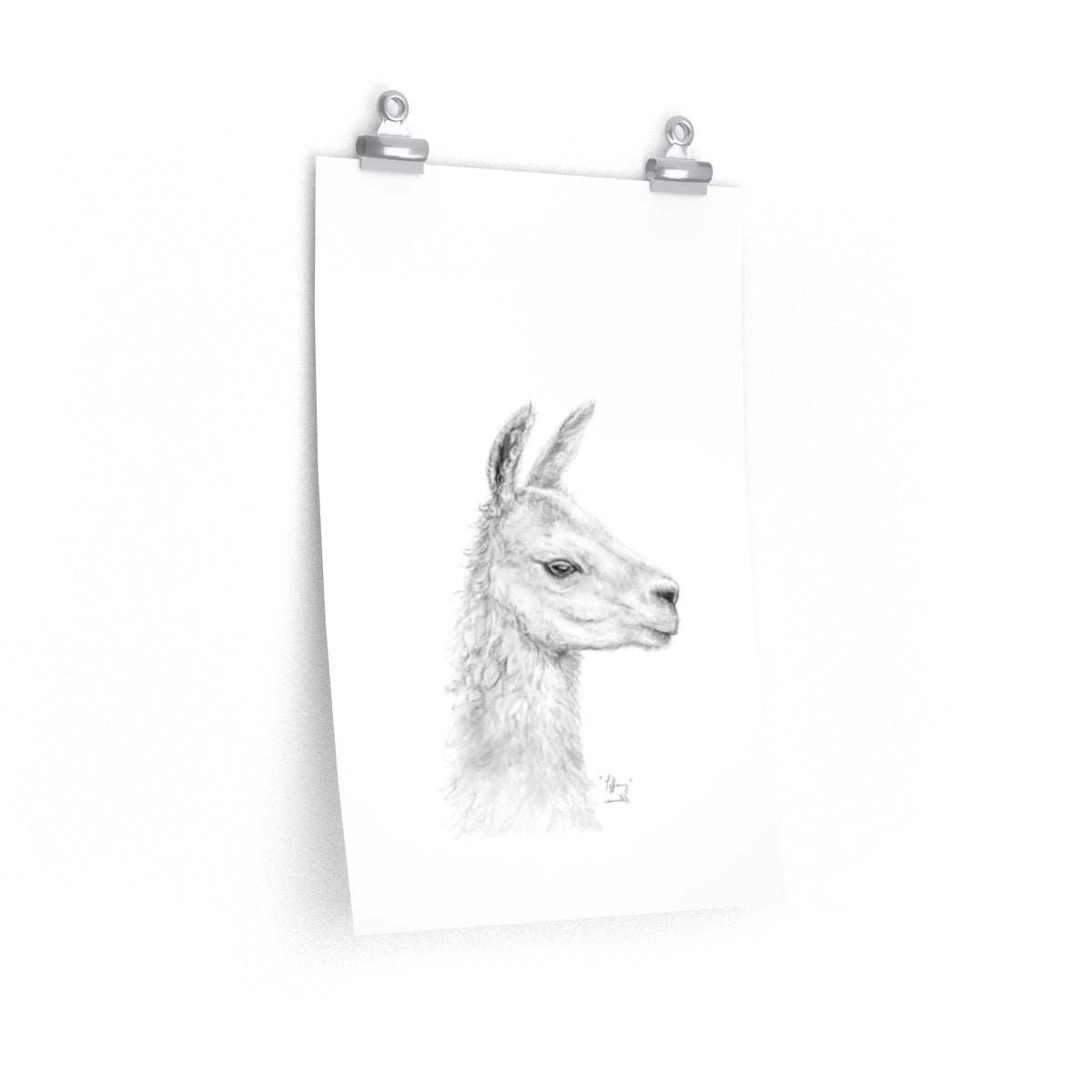 TIFFIANY Llama- Art Paper Print