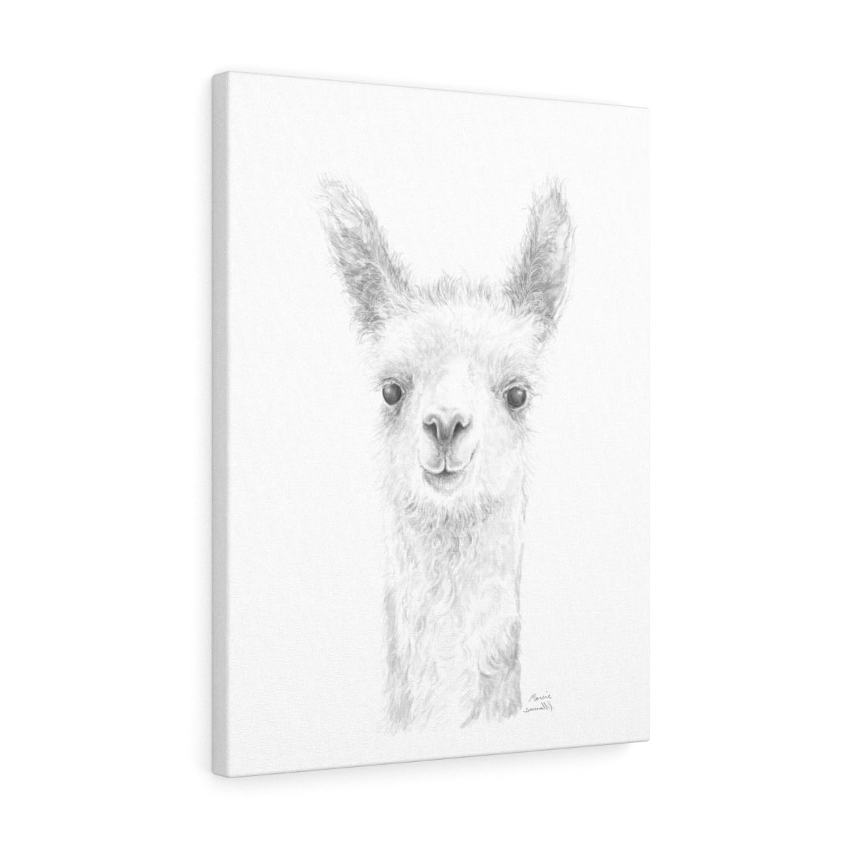 Copy of MARCIE Llama - Art Canvas