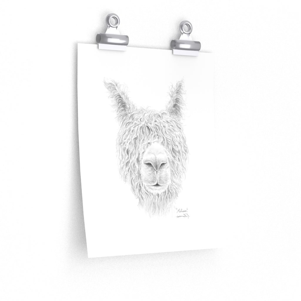 MELISSA Llama- Art Paper Print