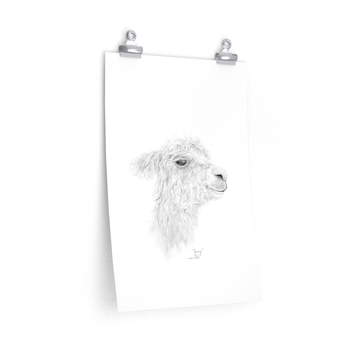 JERRY Llama- Art Paper Print