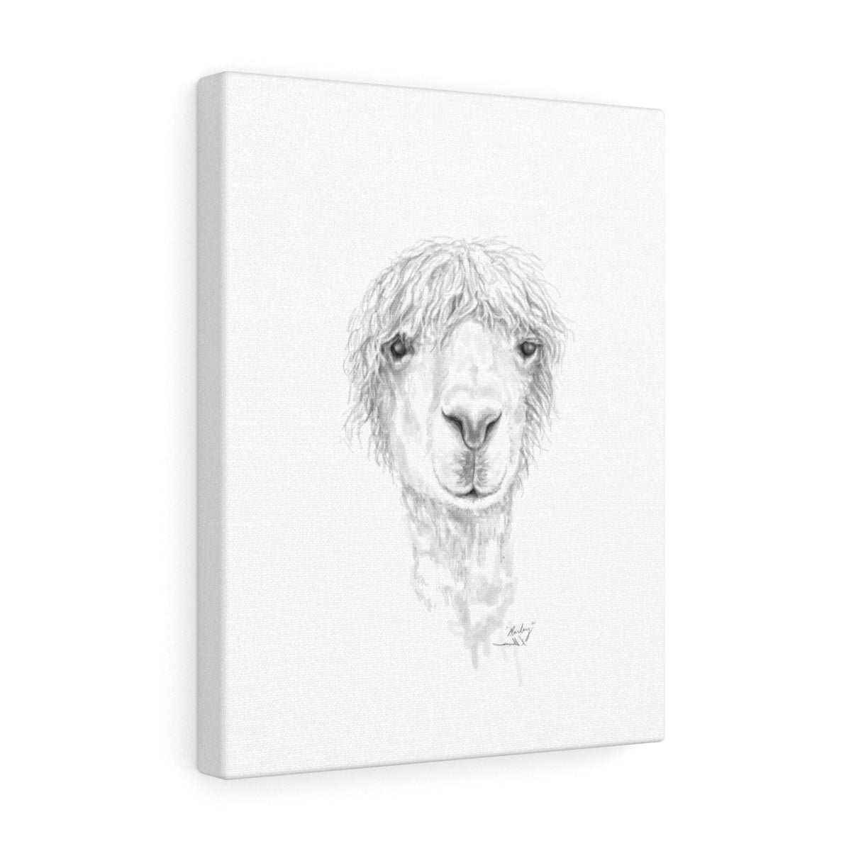 MARLEY Llama - Art Canvas