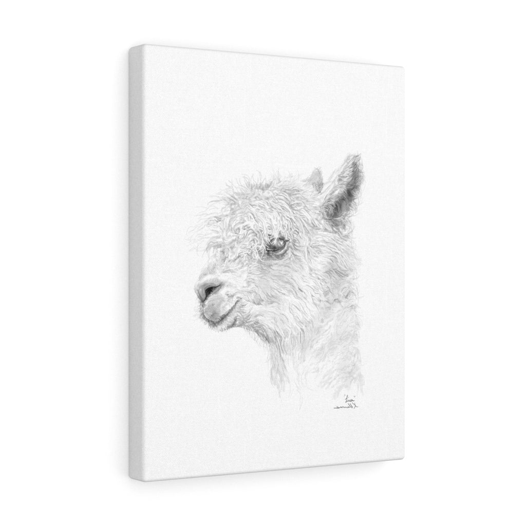 LISA Llama - Art Canvas