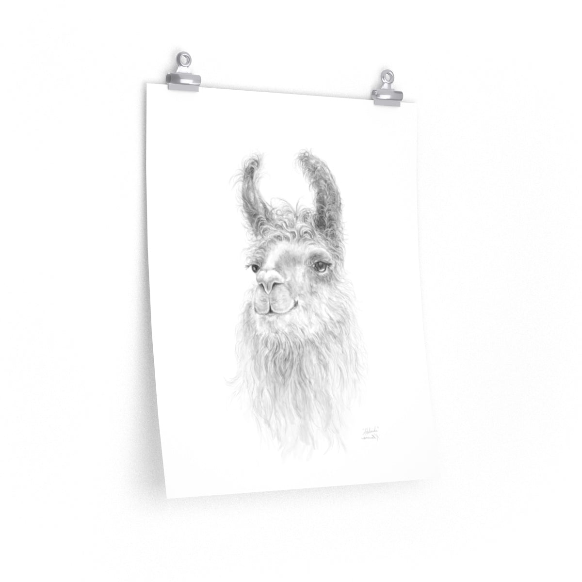 ADELAIDE Llama- Art Paper Print