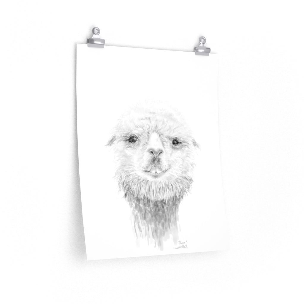 DREW Llama- Art Paper Print