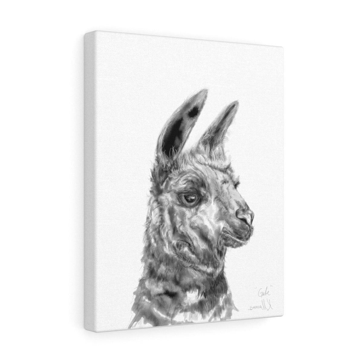 GABE Llama - Art Canvas
