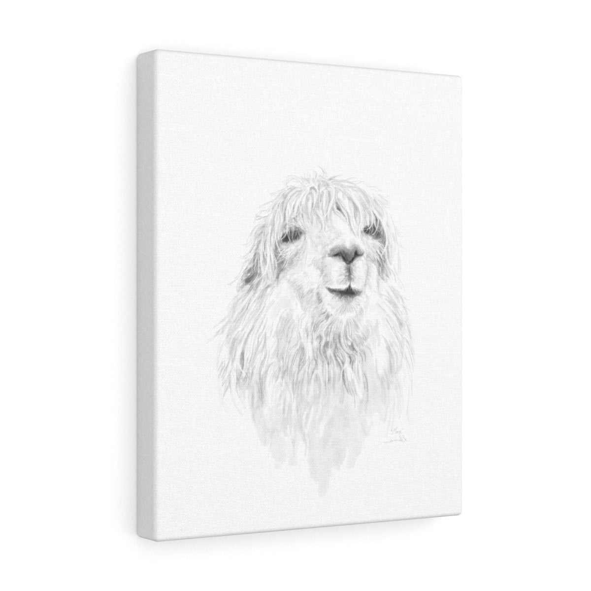 MAX Llama - Art Canvas