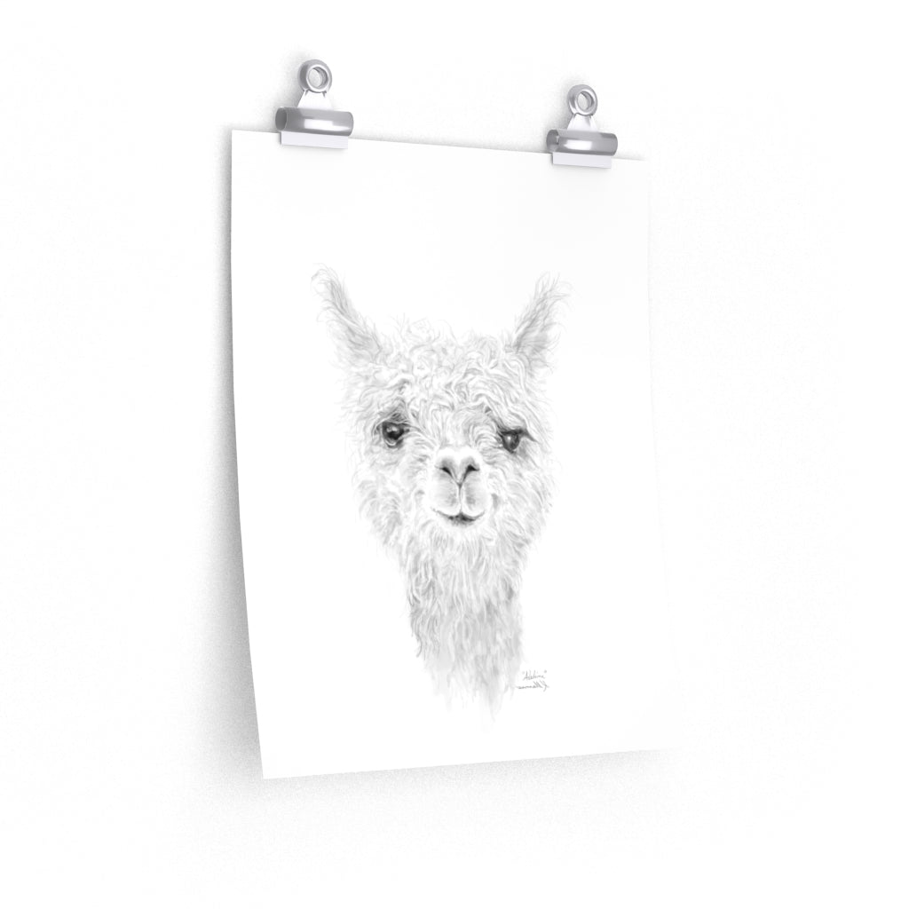 ADELINE Llama- Art Paper Print