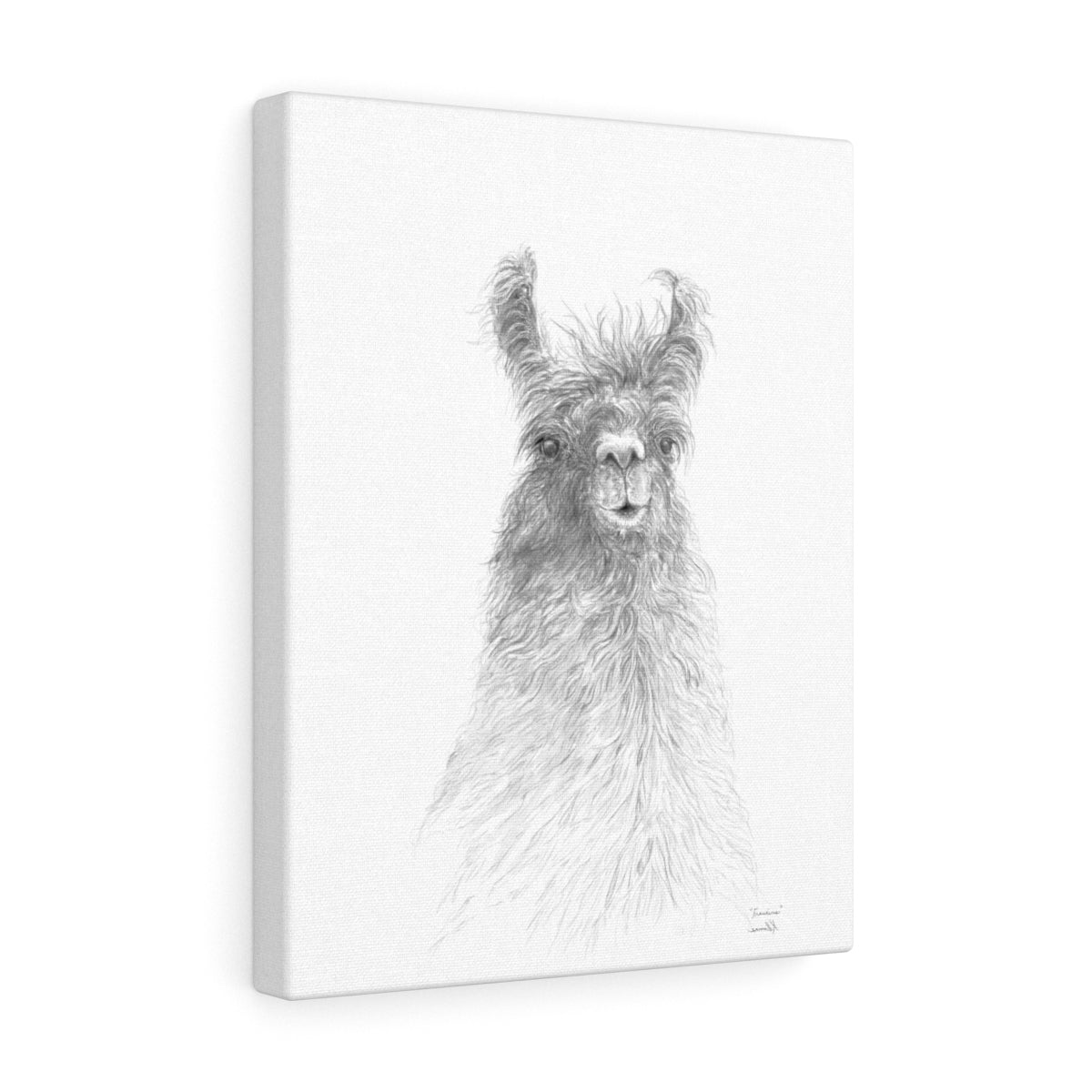 FRANCINE Llama - Art Canvas