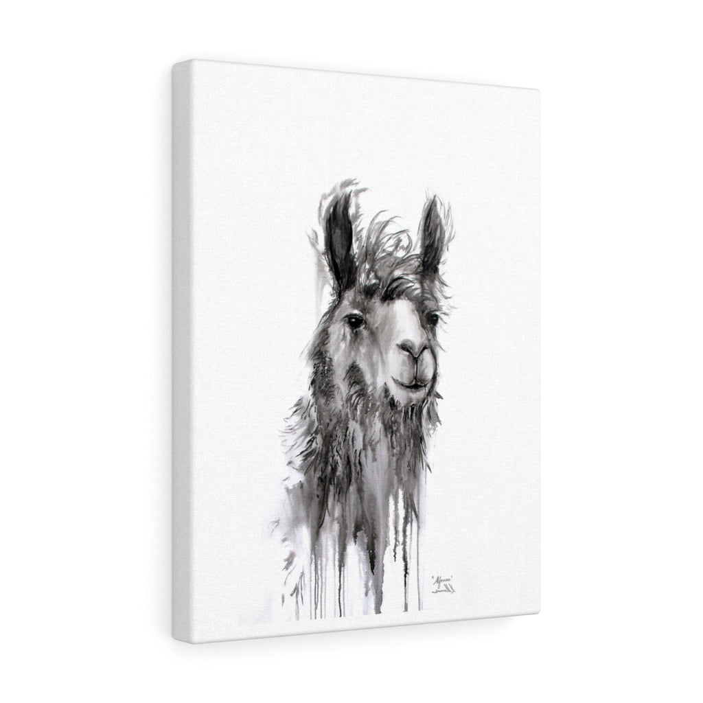 ALFONSO Llama - Art Canvas