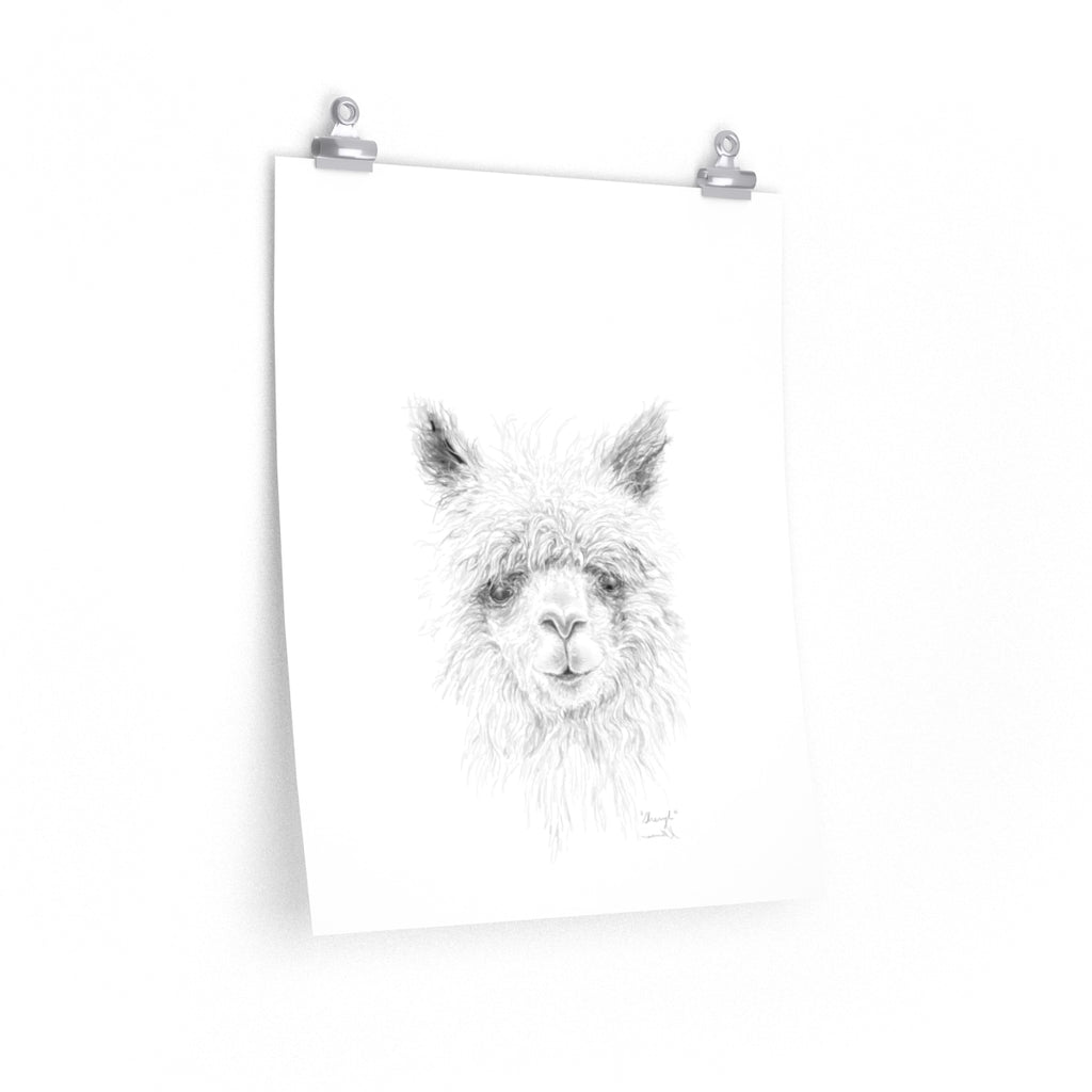 SHERYL Llama- Art Paper Print