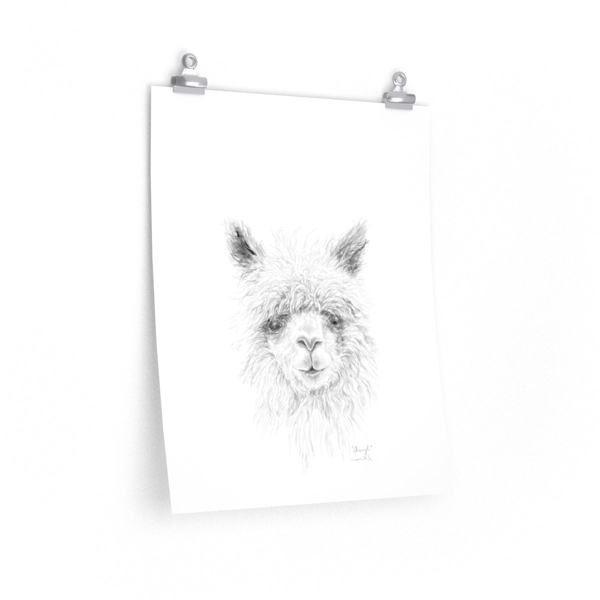 SHERYL Llama- Art Paper Print