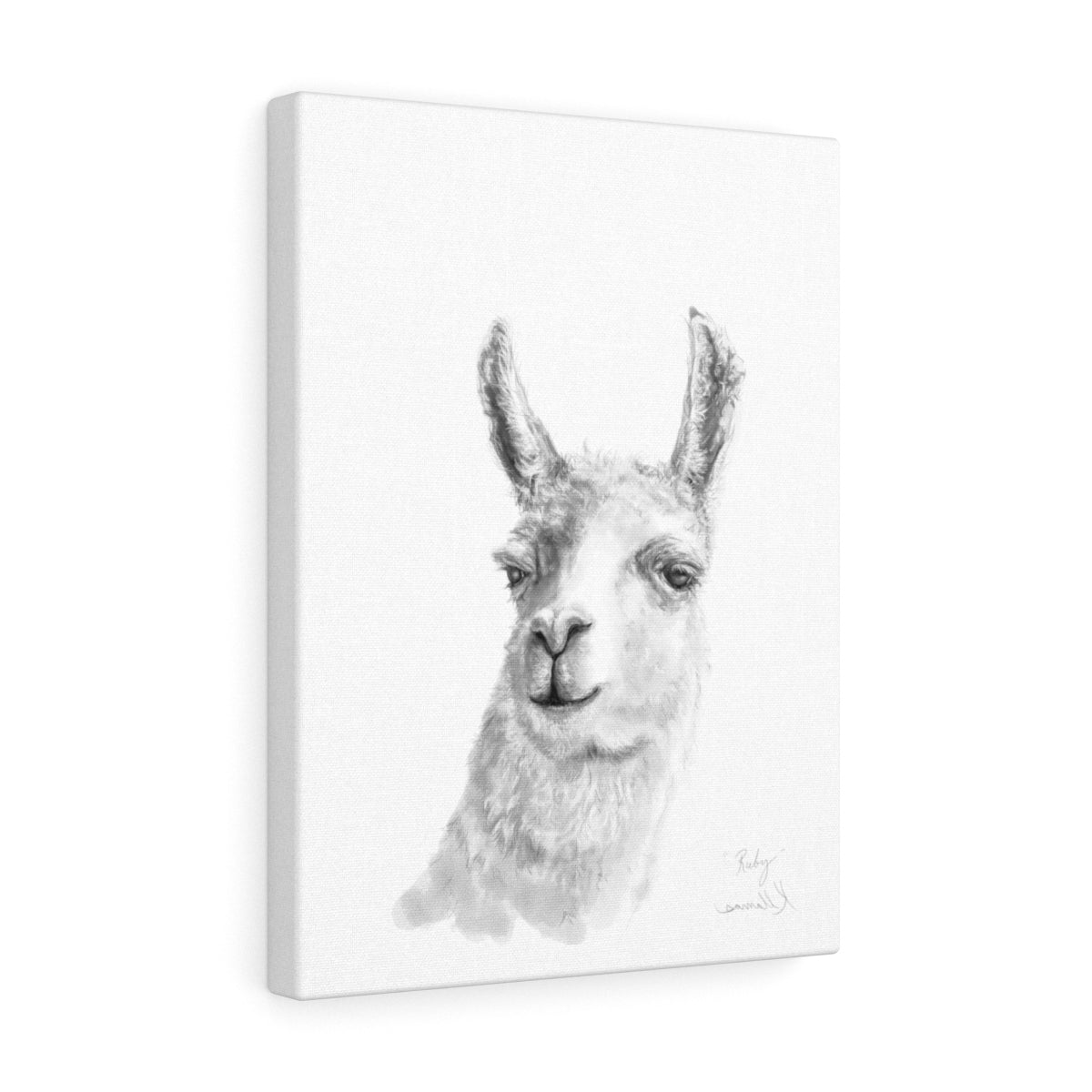 RUBY Llama - Art Canvas