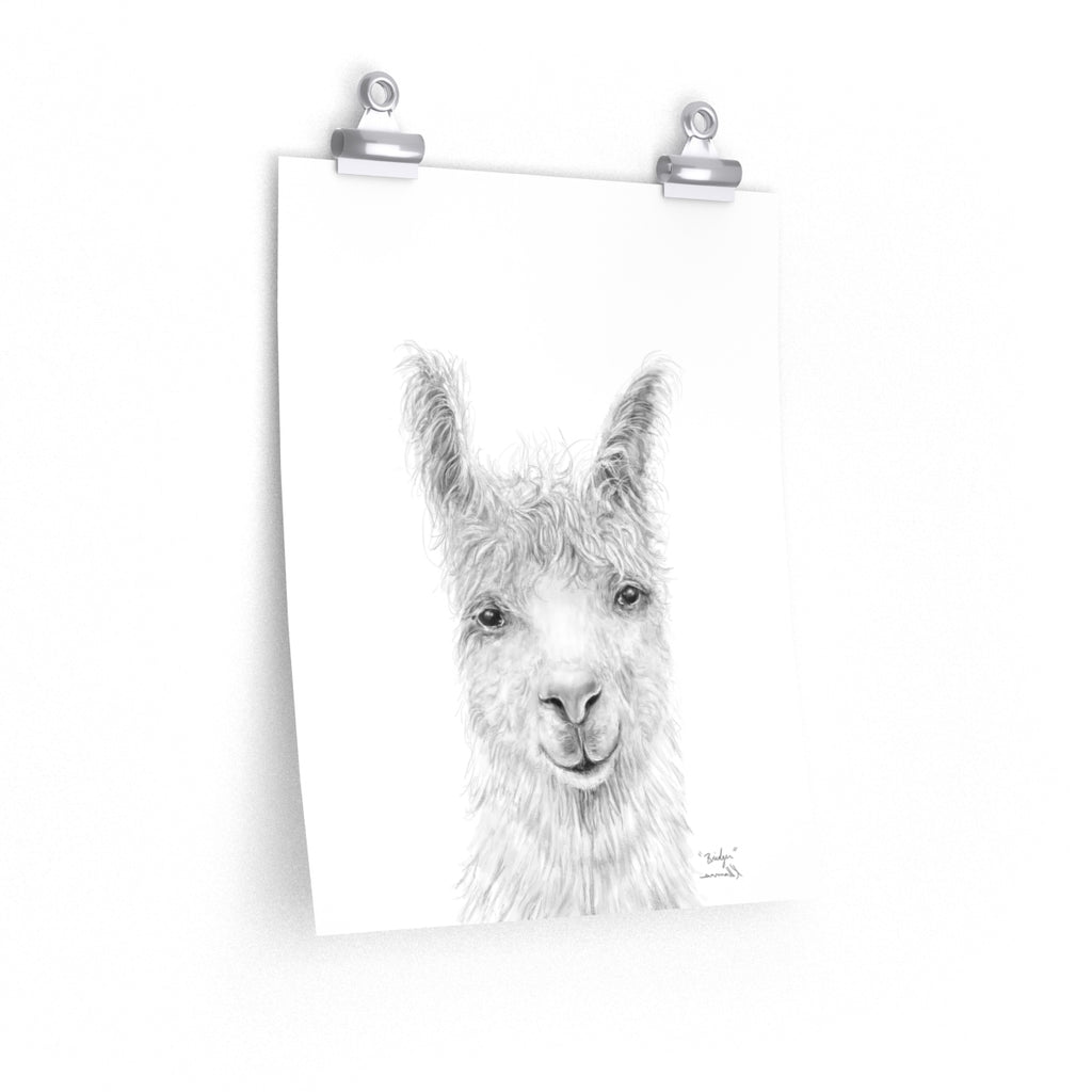 BRIDGER Llama- Art Paper Print
