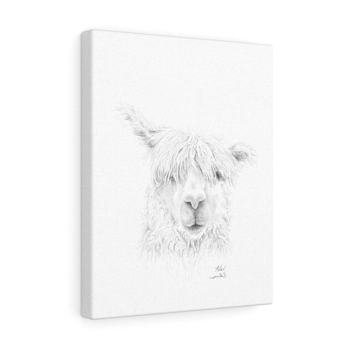 MILES Llama - Art Canvas