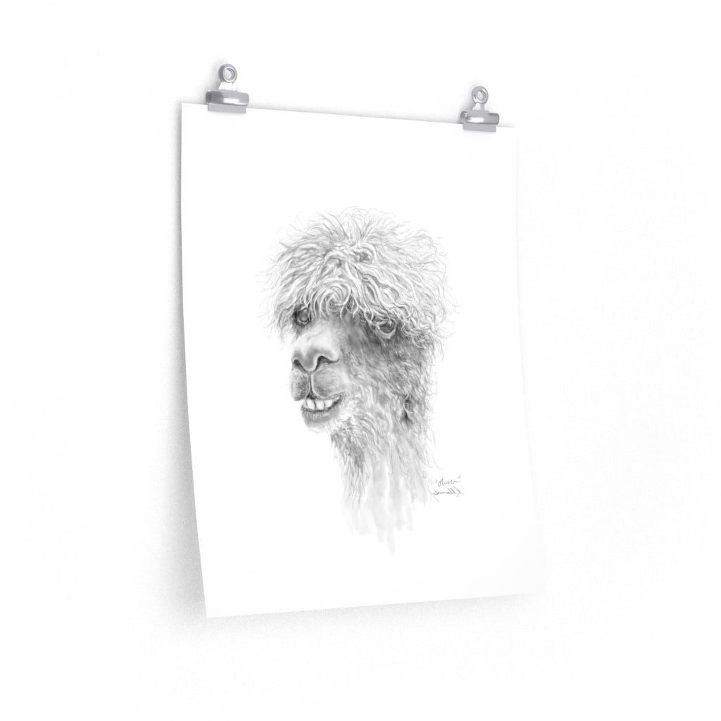 OLIVER Llama- Art Paper Print