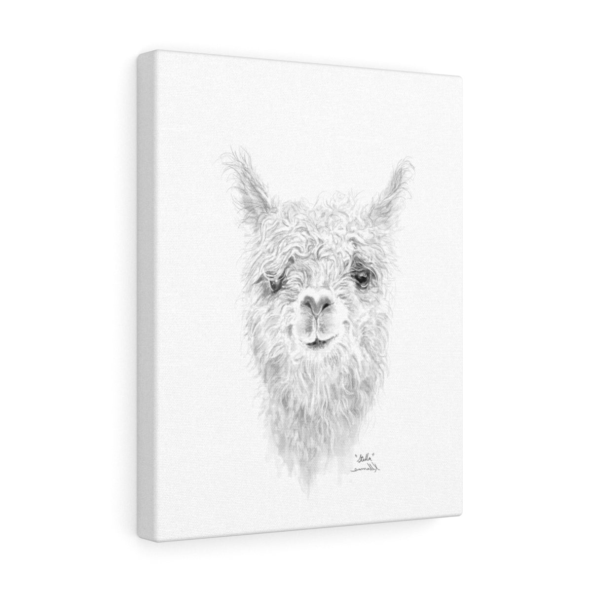 STELLA Llama - Art Canvas