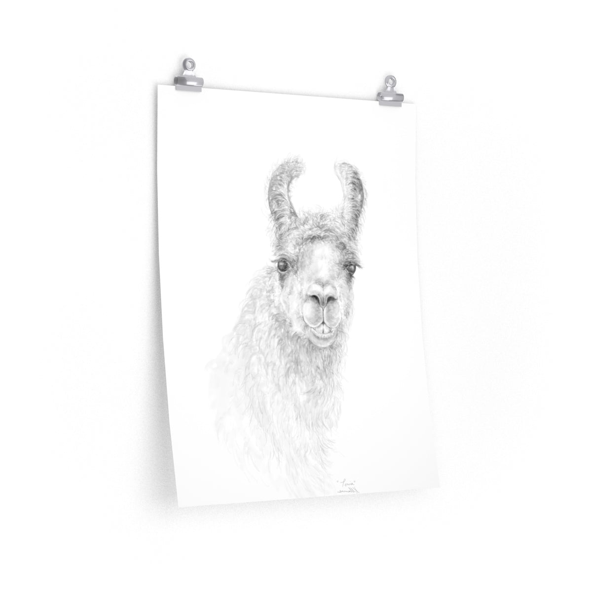 TONIA Llama- Art Paper Print