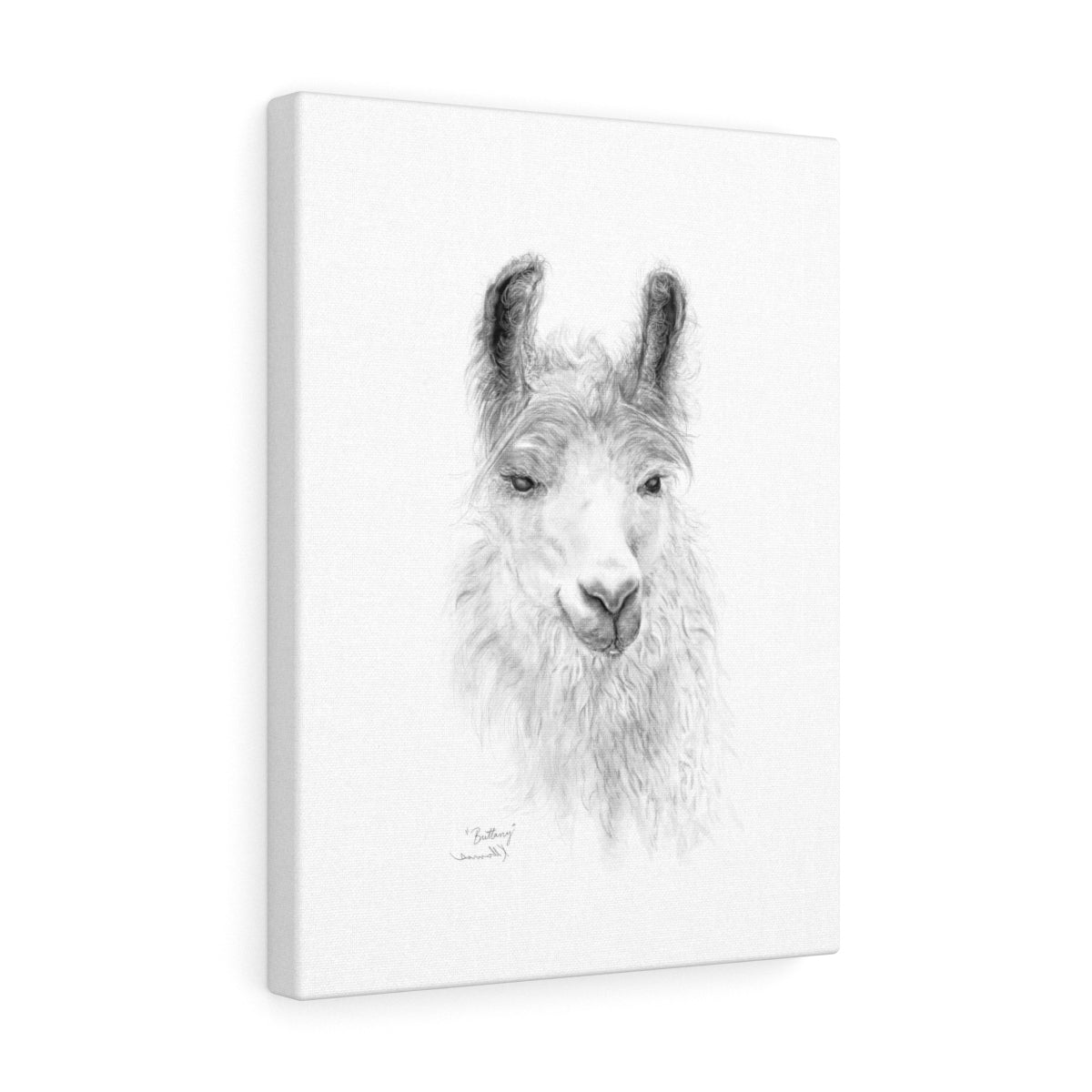BRITTANY Llama - Art Canvas