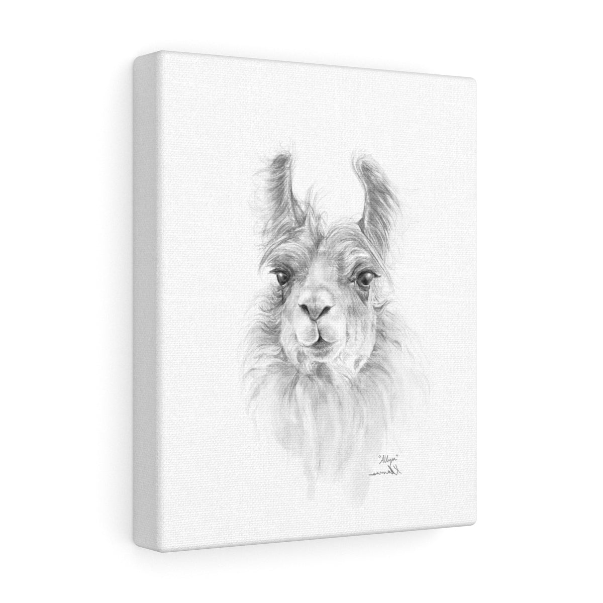 ALLYN Llama - Art Canvas