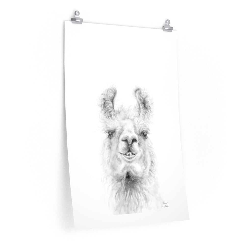 JOHN Llama- Art Paper Print