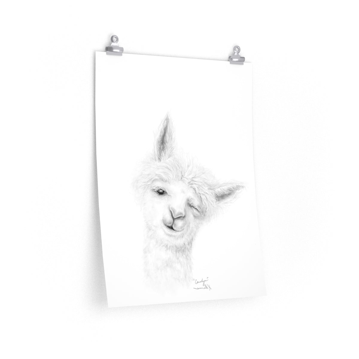 CAROLYN Llama- Art Paper Print