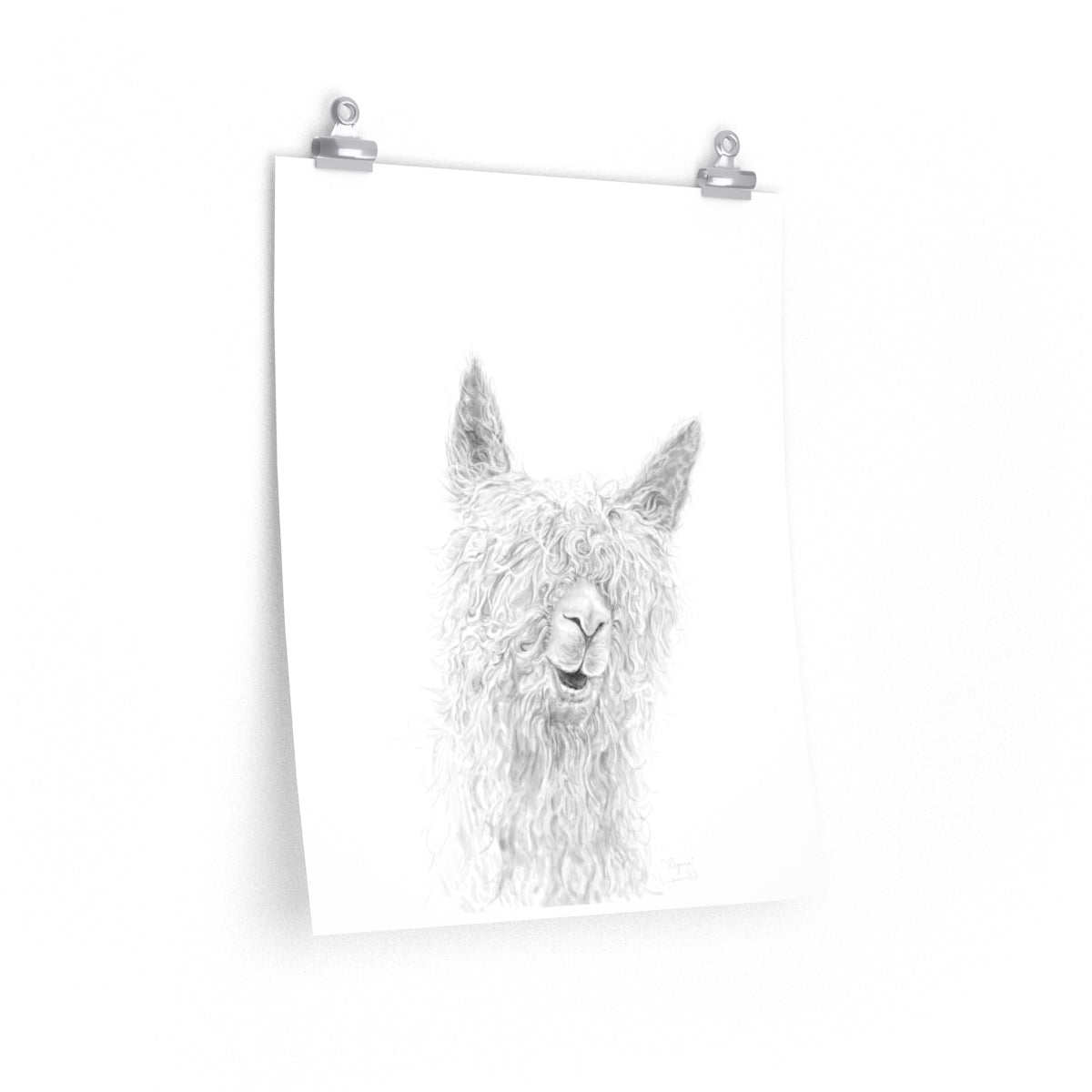 REGINA Llama- Art Paper Print