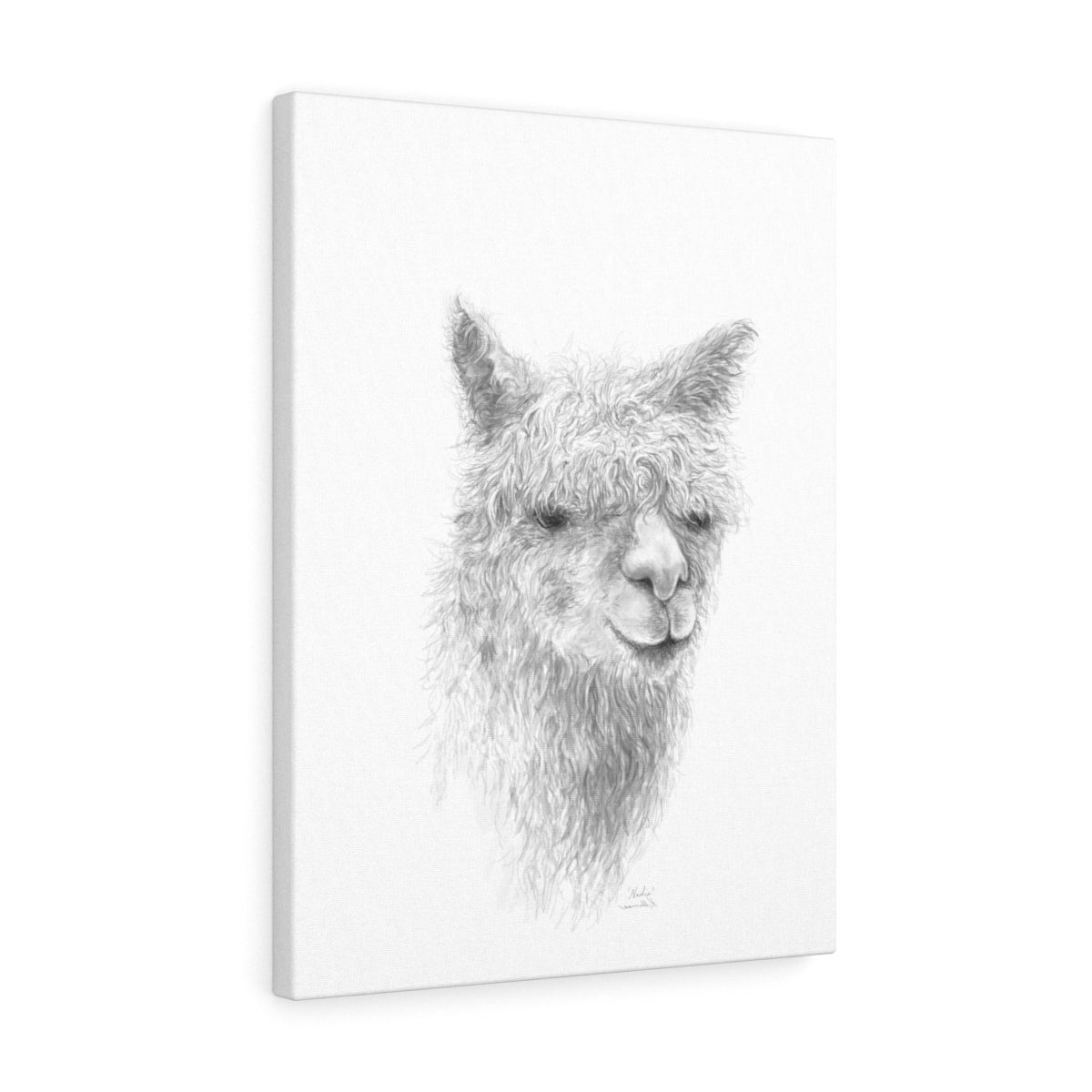 Nadia Llama - Art Canvas