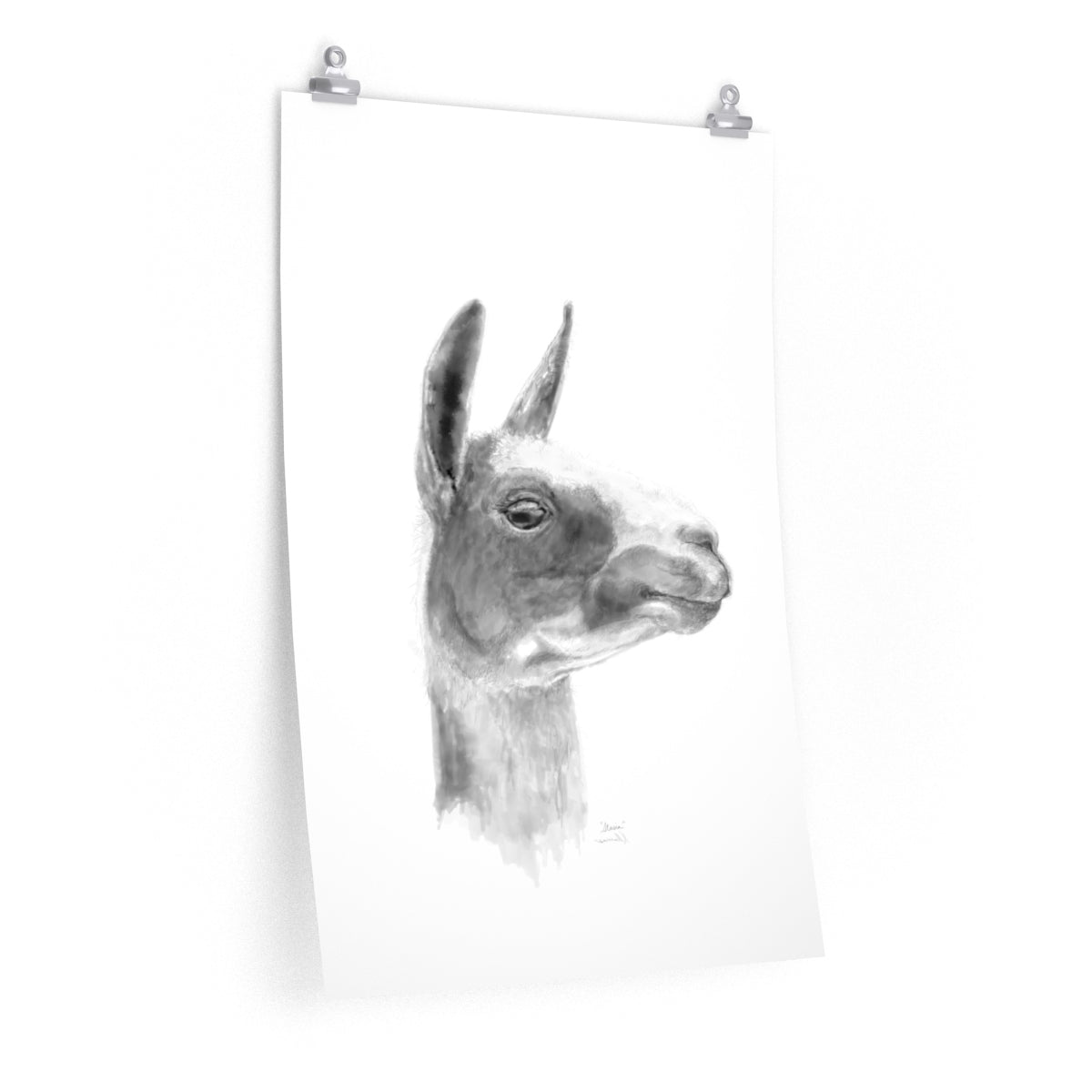 STASIA Llama- Art Paper Print