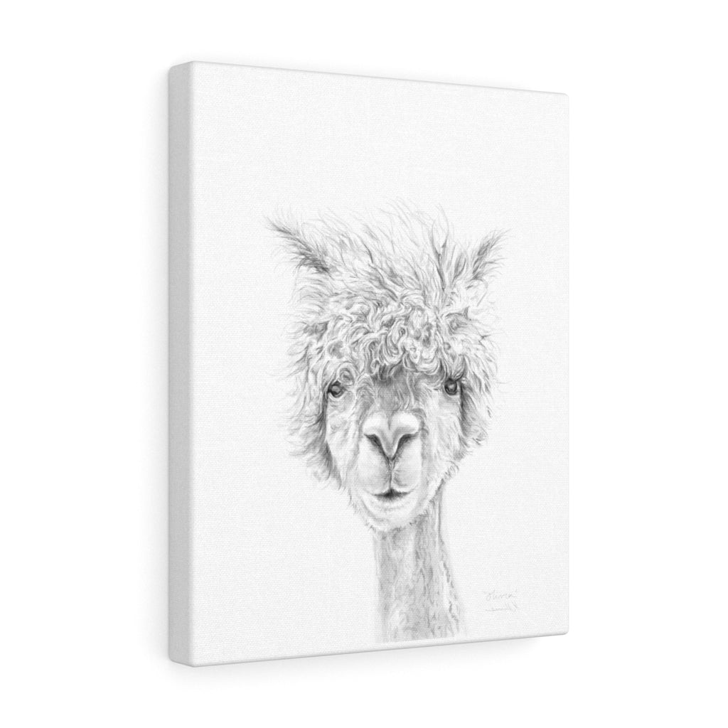 OLIVIA Llama - Art Canvas