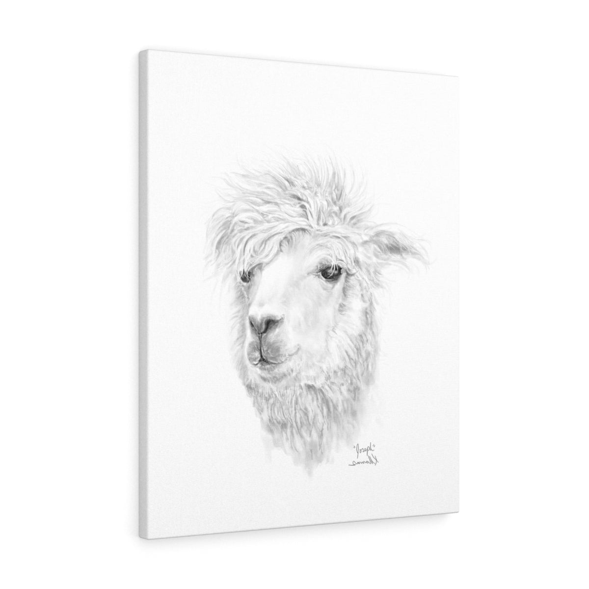 JOSEPH Llama - Art Canvas