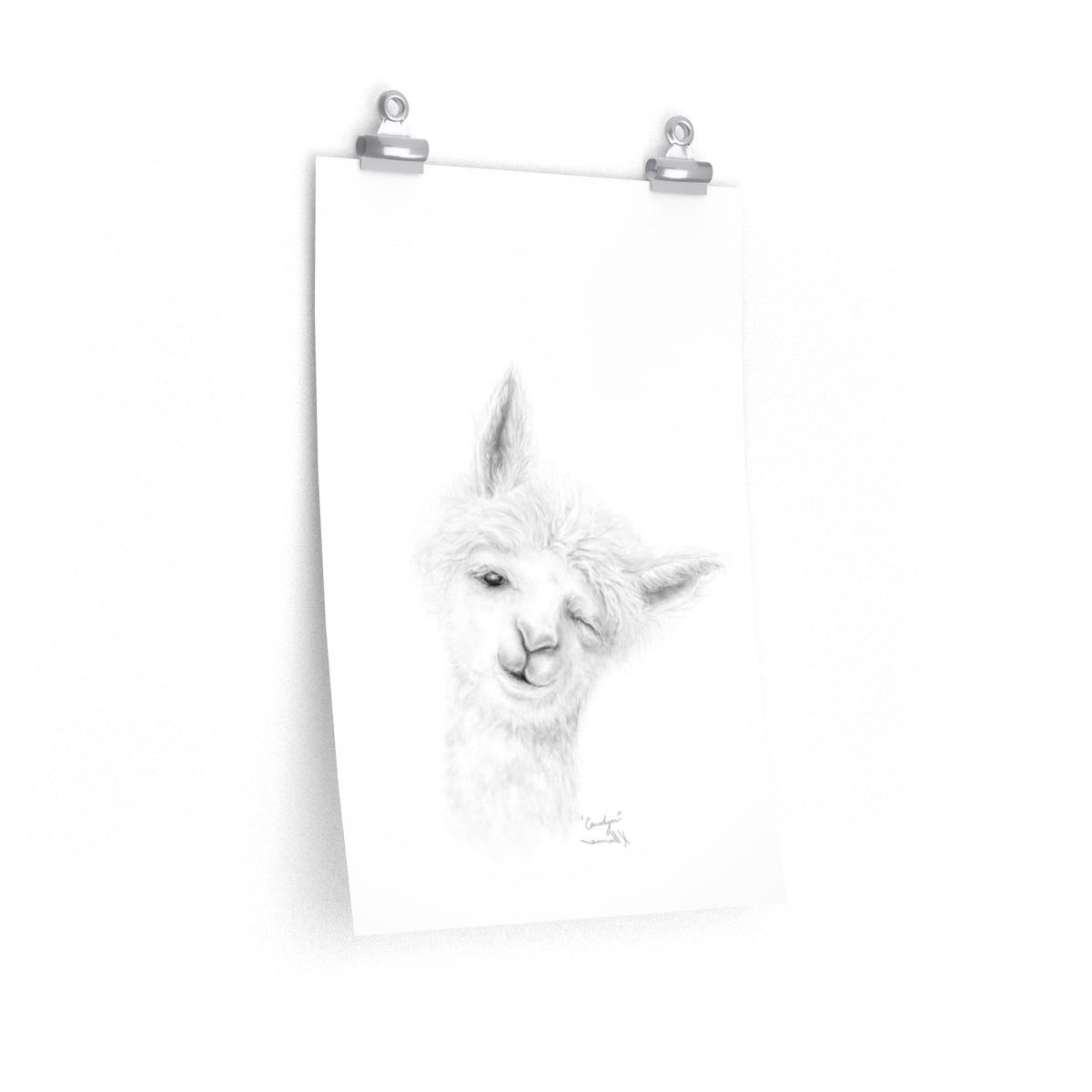 CAROLYN Llama- Art Paper Print