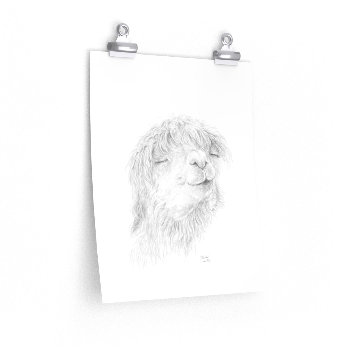 MELINDA Llama- Art Paper Print