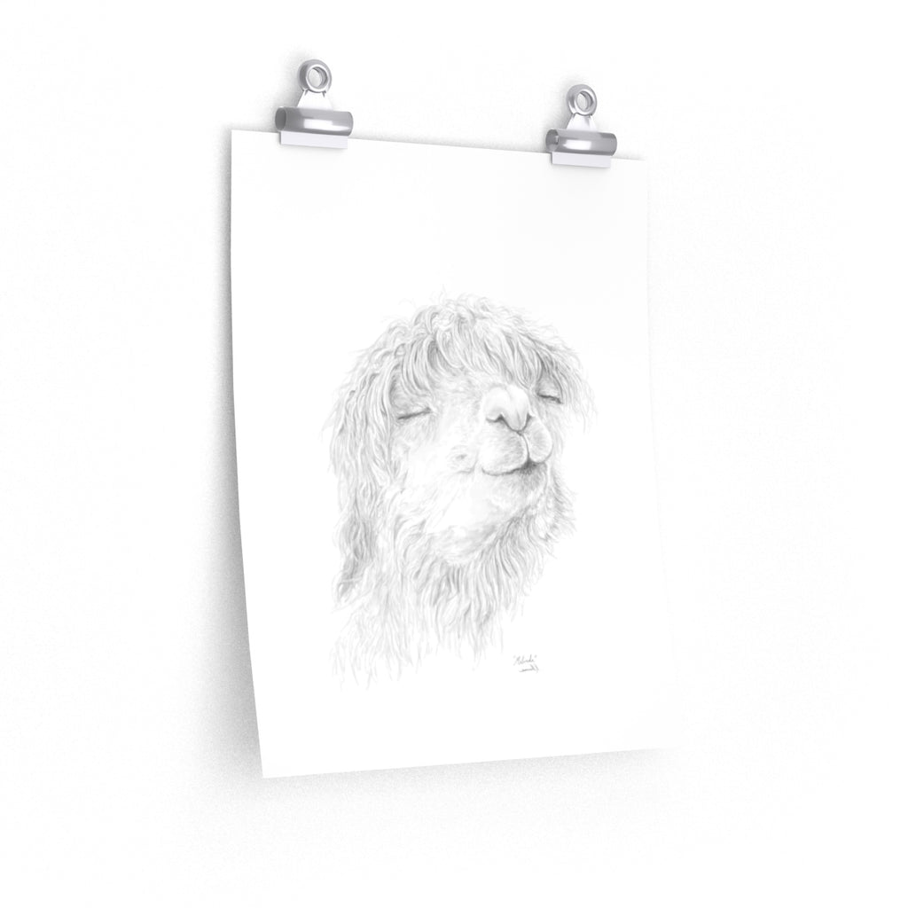 MELINDA Llama- Art Paper Print