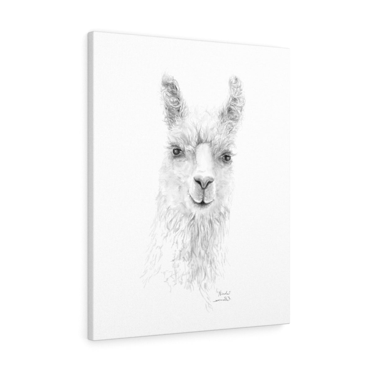 NICOLE Llama - Art Canvas