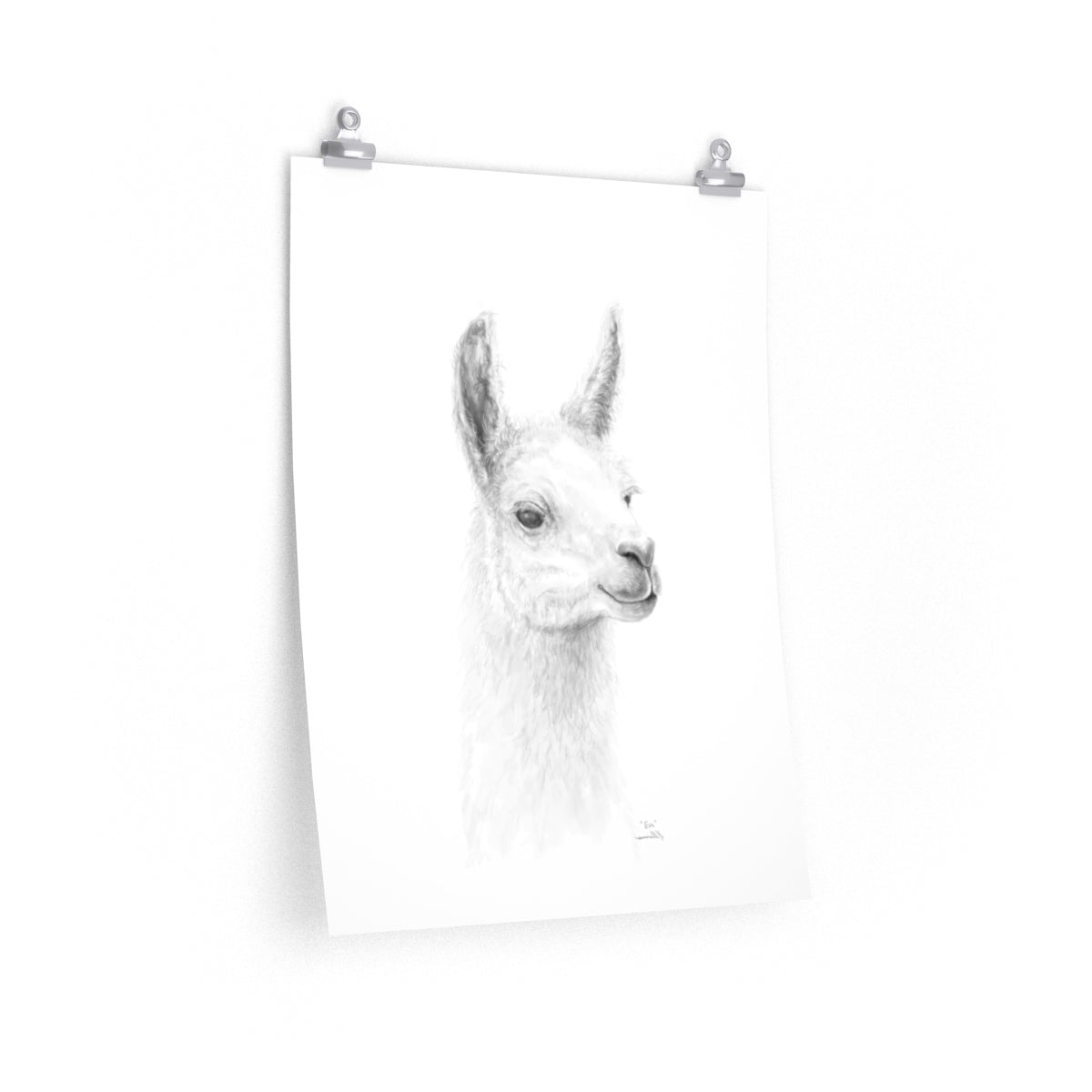 EVA Llama- Art Paper Print