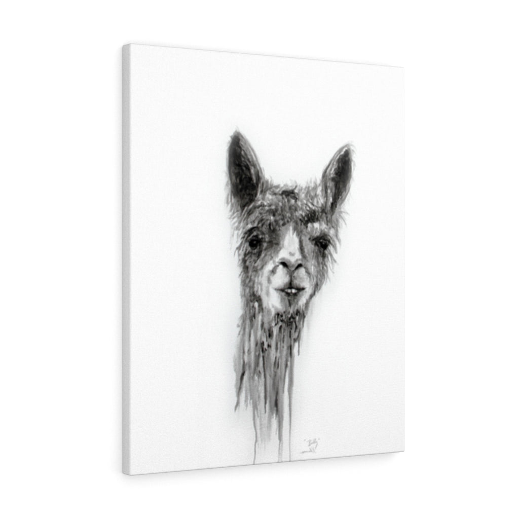 BILLY Llama - Art Canvas