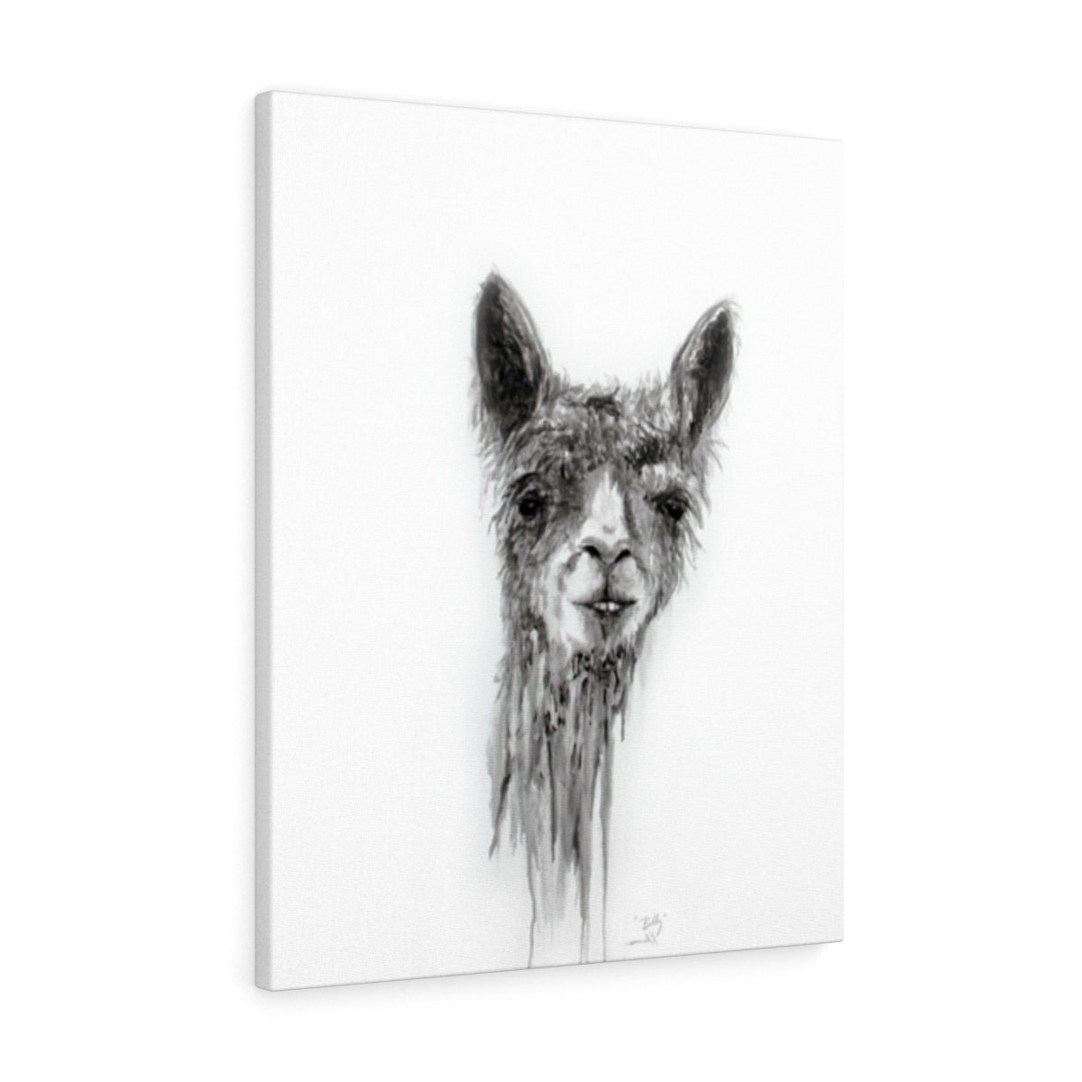 BILLY Llama - Art Canvas