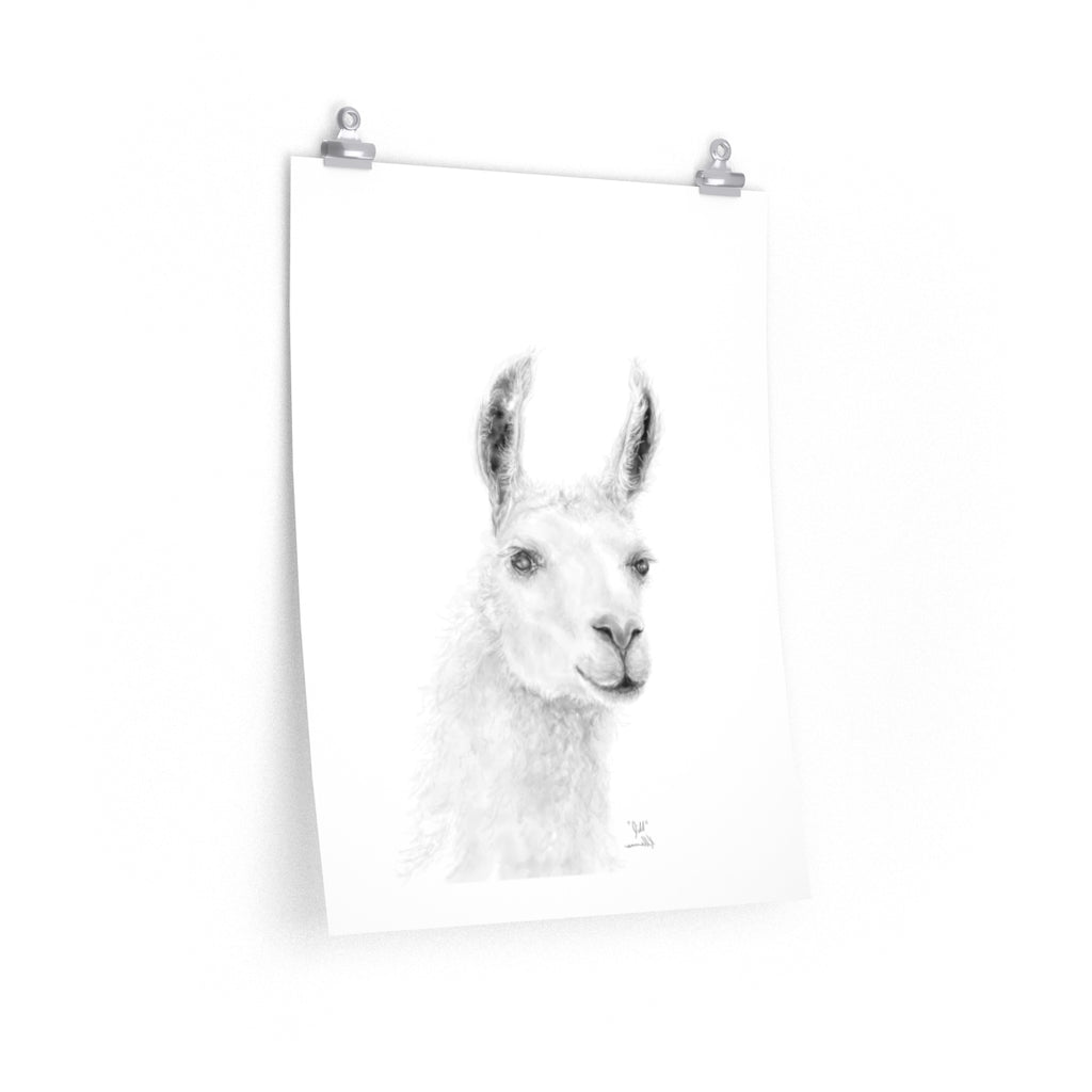 JILL Llama- Art Paper Print