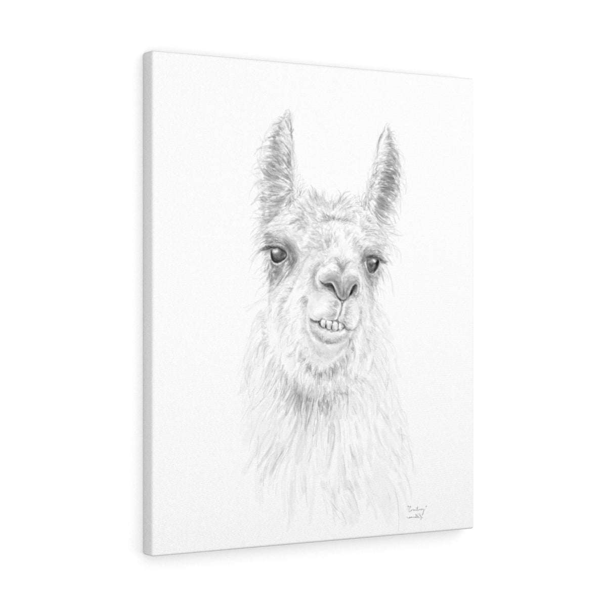 COURTNEY Llama - Art Canvas