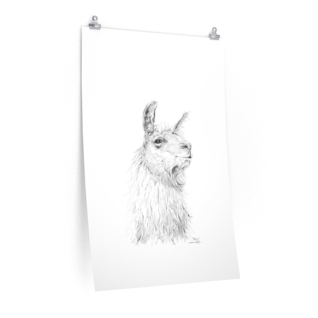 STEVE Llama- Art Paper Print