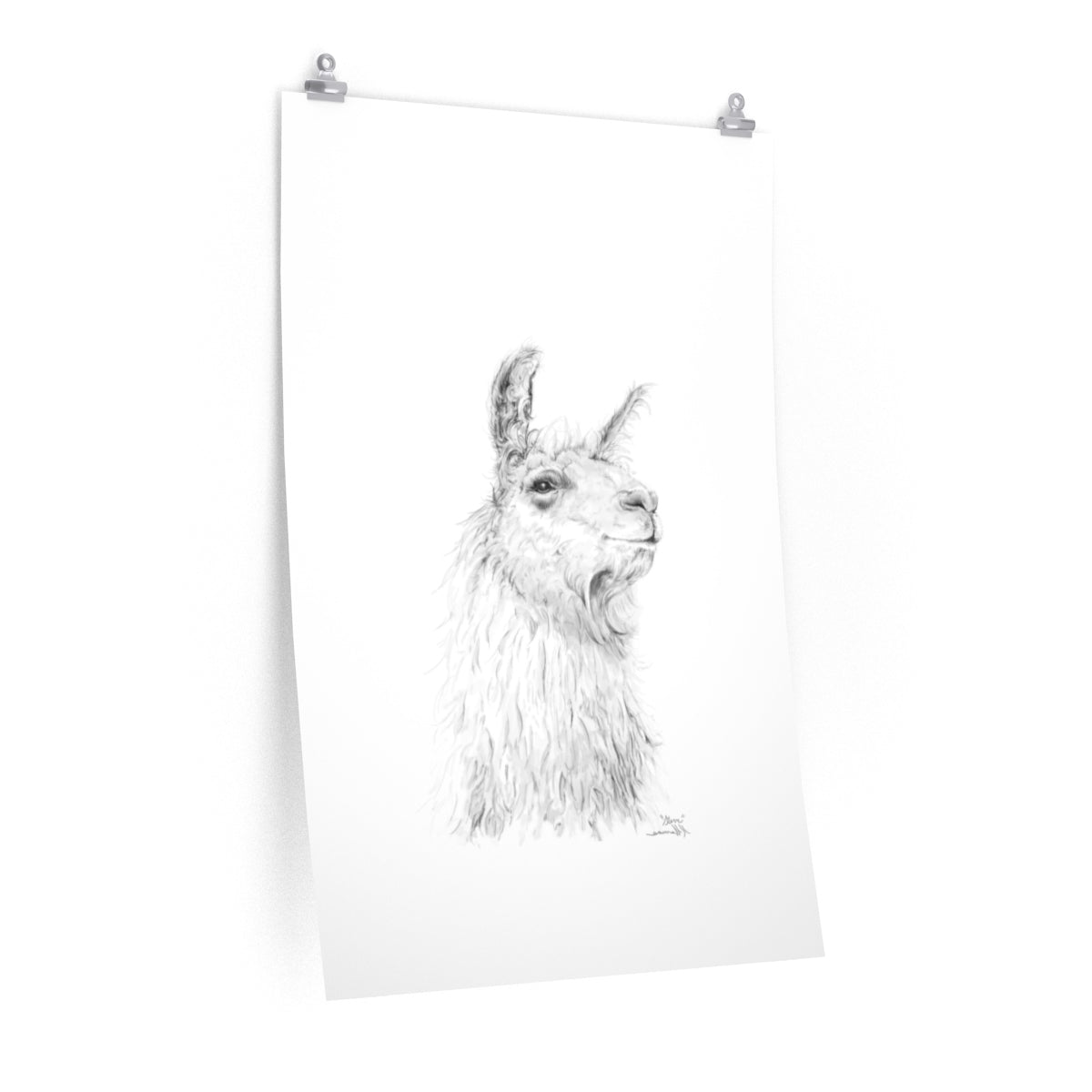 STEVE Llama- Art Paper Print