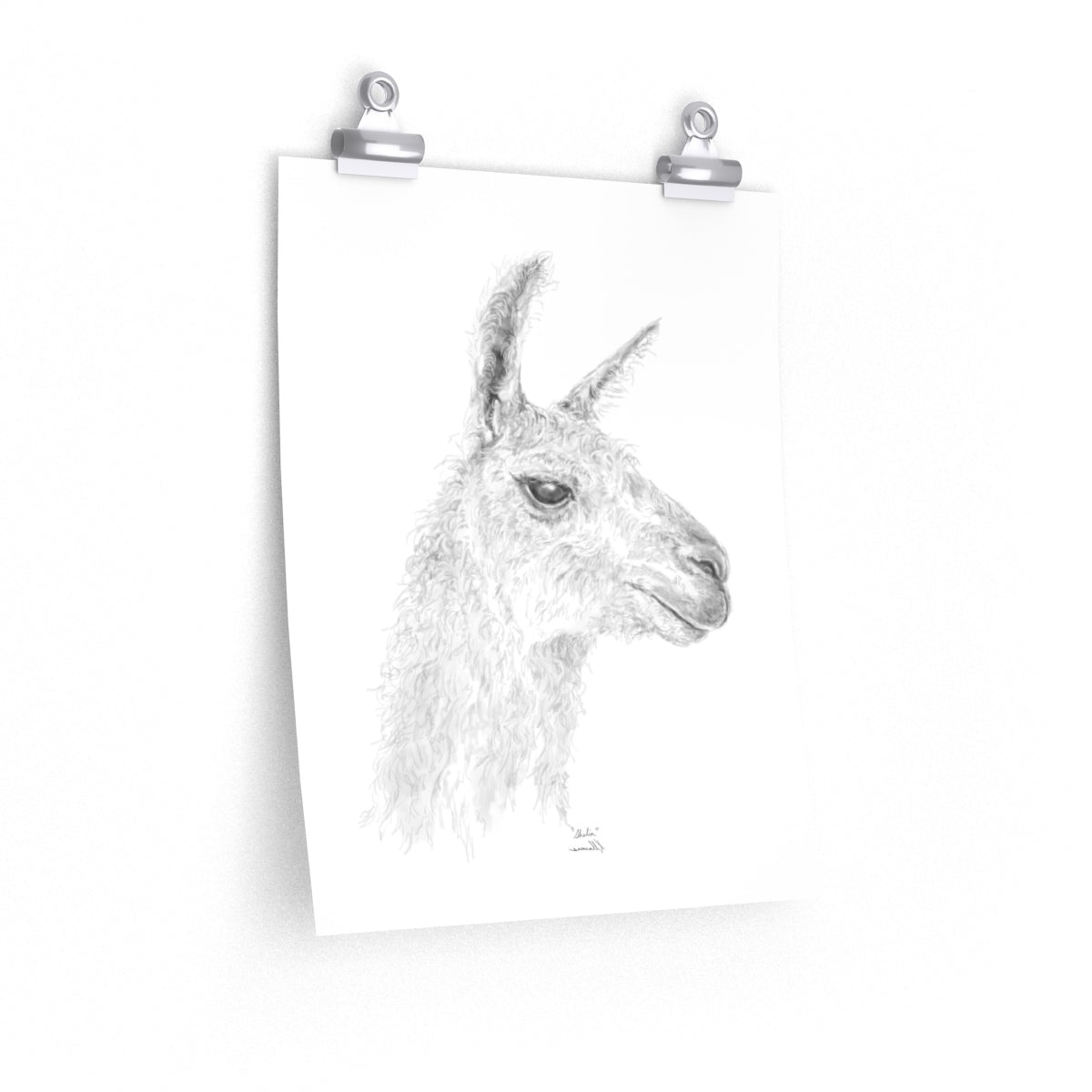 SHELIA Llama- Art Paper Print