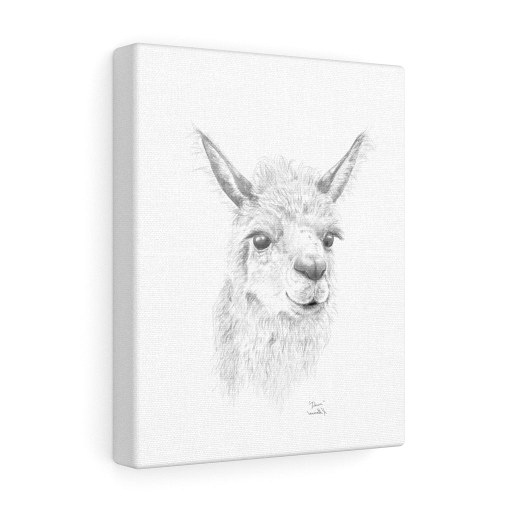 Dawn Llama - Art Canvas