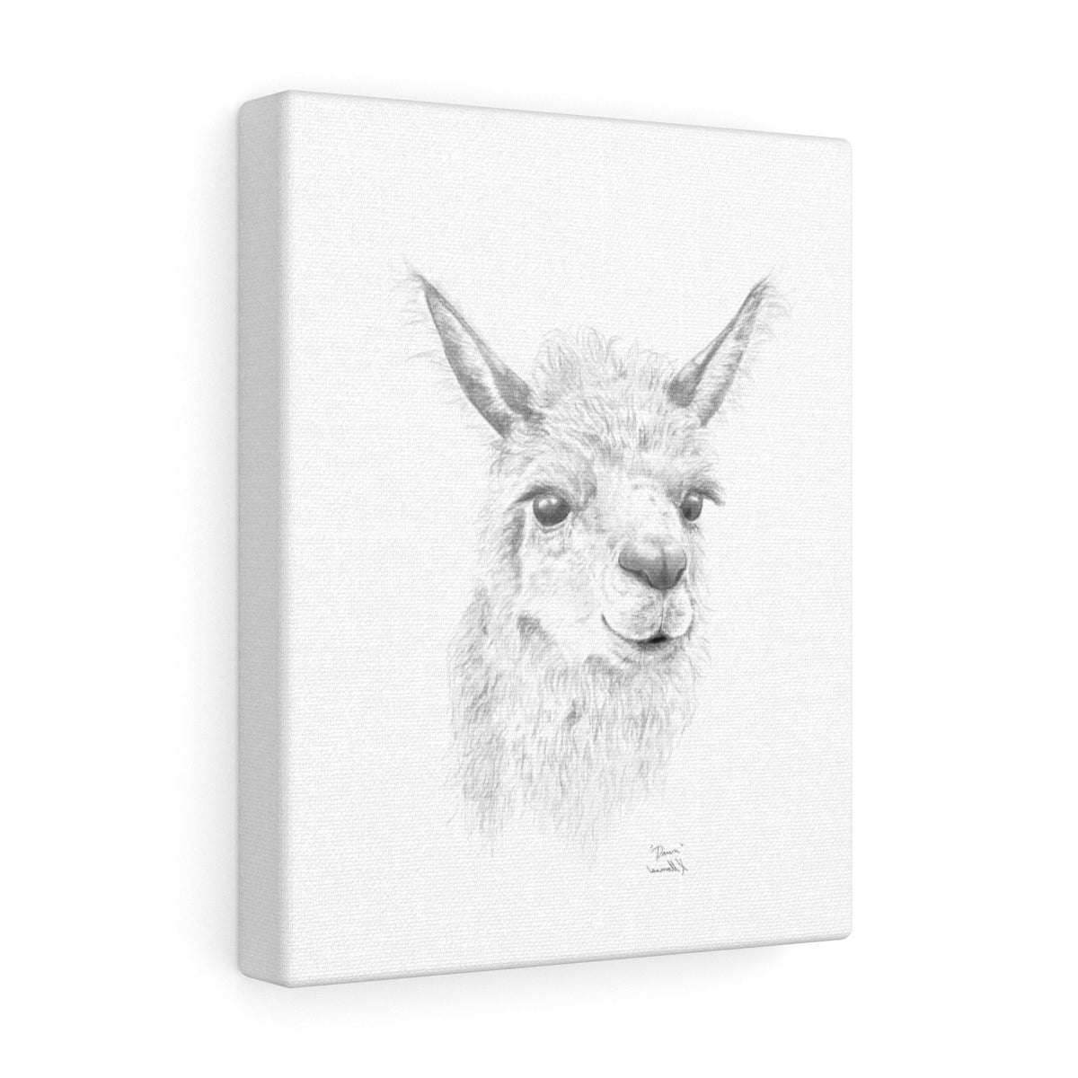 Dawn Llama - Art Canvas