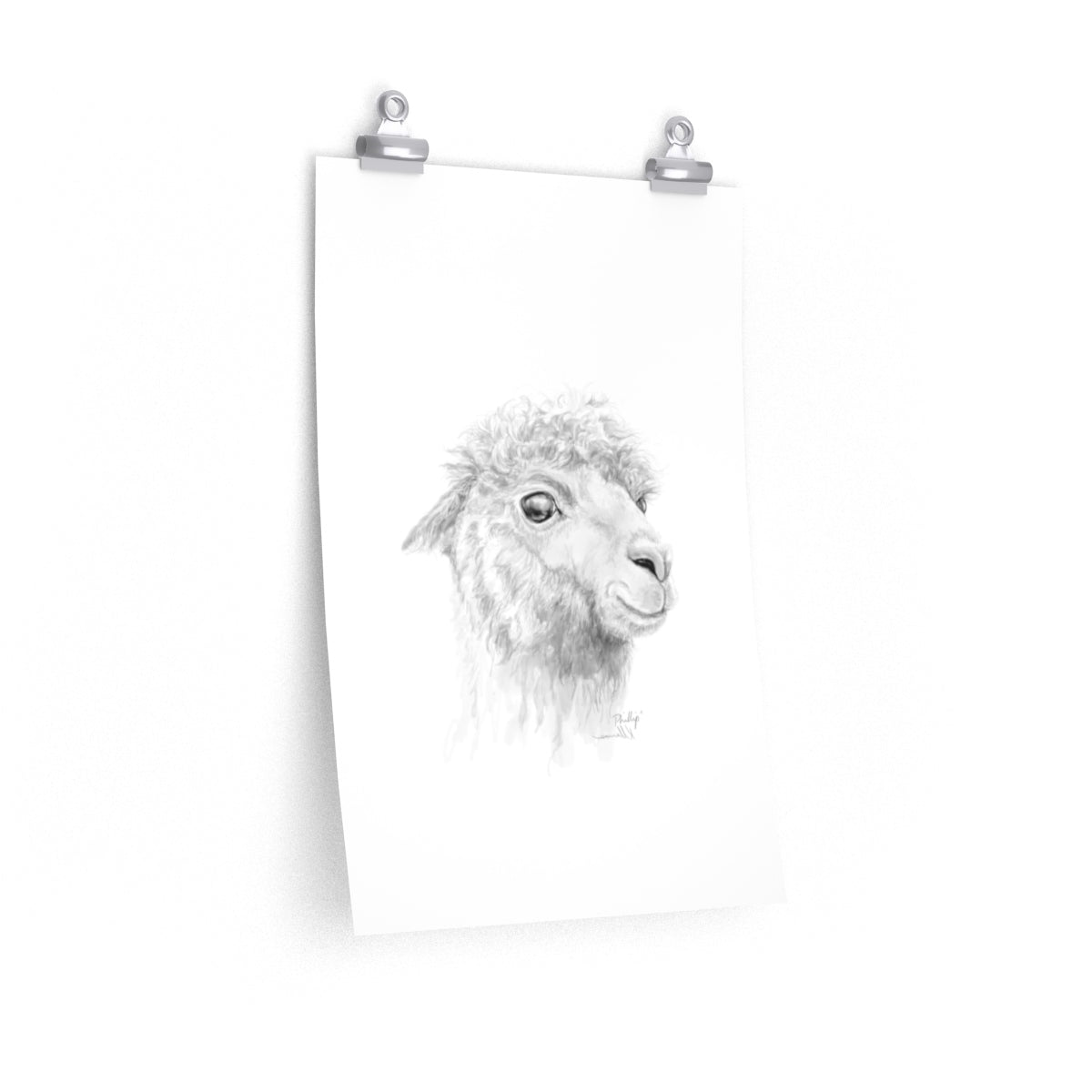 PHILLIP Llama- Art Paper Print