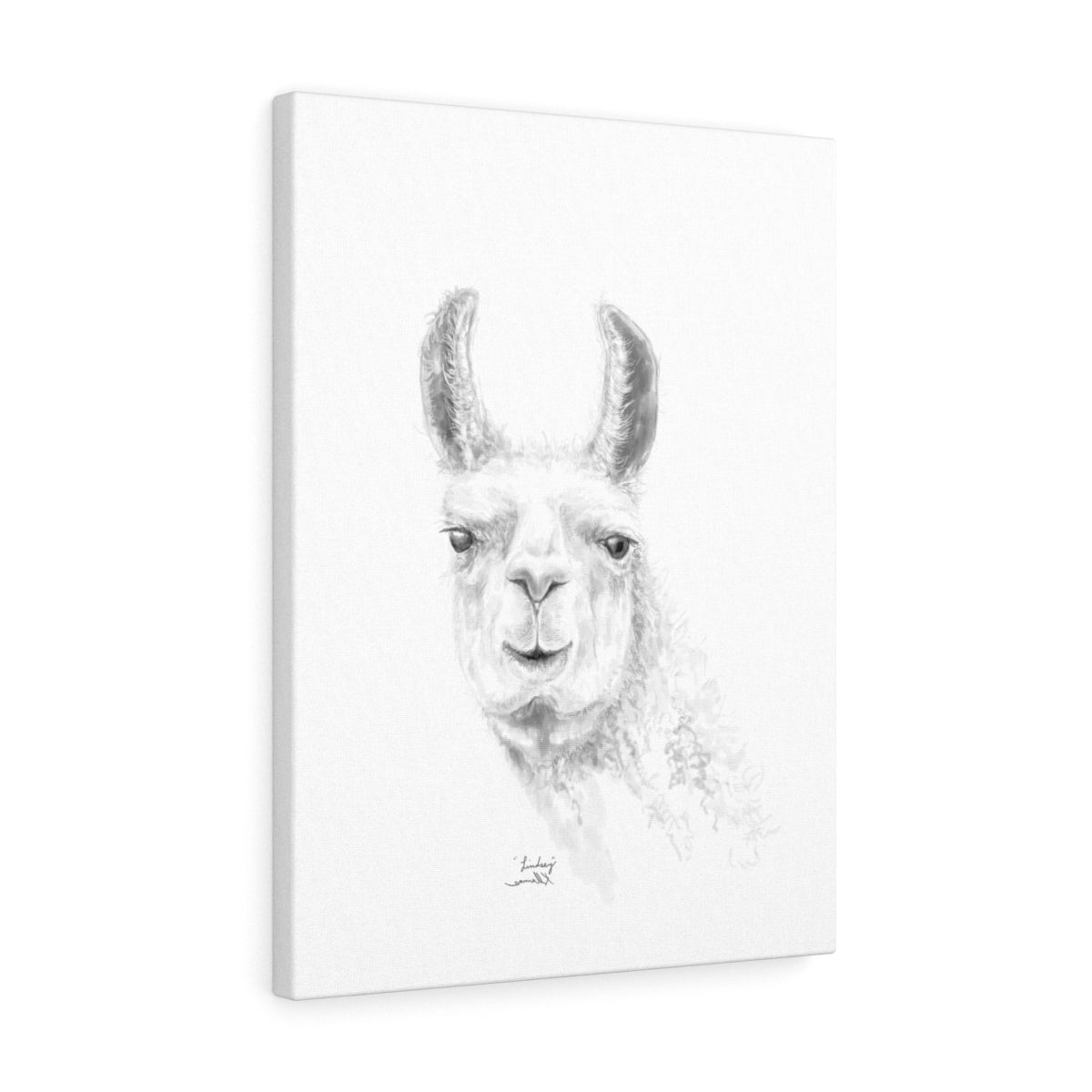 LINDSEY Llama - Art Canvas