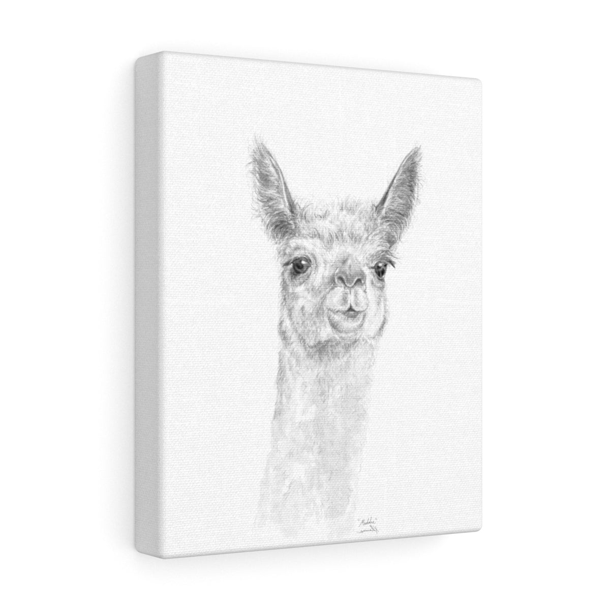 MADDIE Llama - Art Canvas