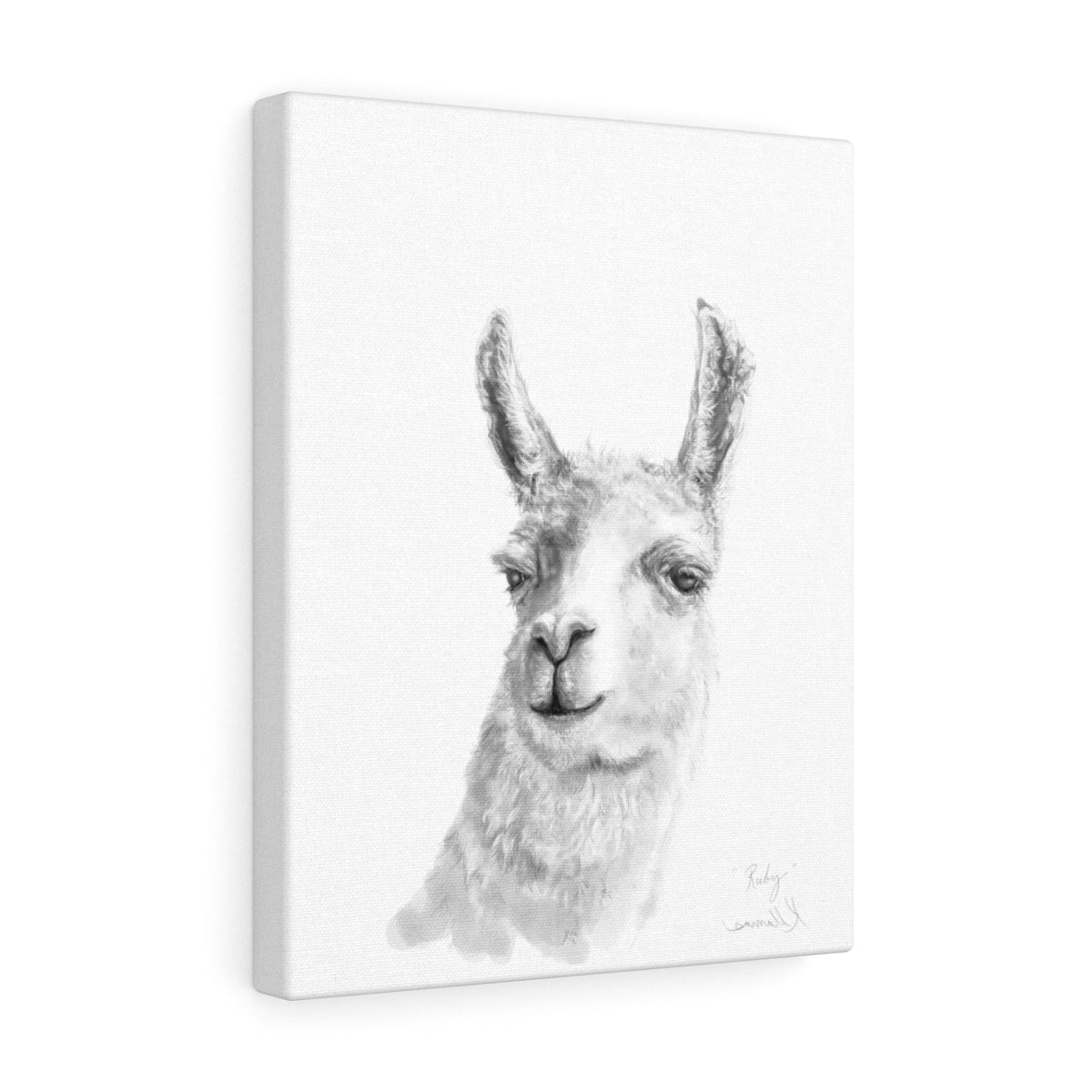 RUBY Llama - Art Canvas